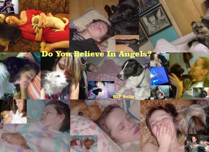 10665792_10154599790295253_3991532991788602612_n