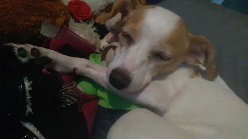 41507722_2198871050391722_6398687683975053312_n