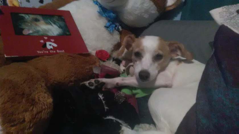 41607011_676837836031092_6450563853754302464_n