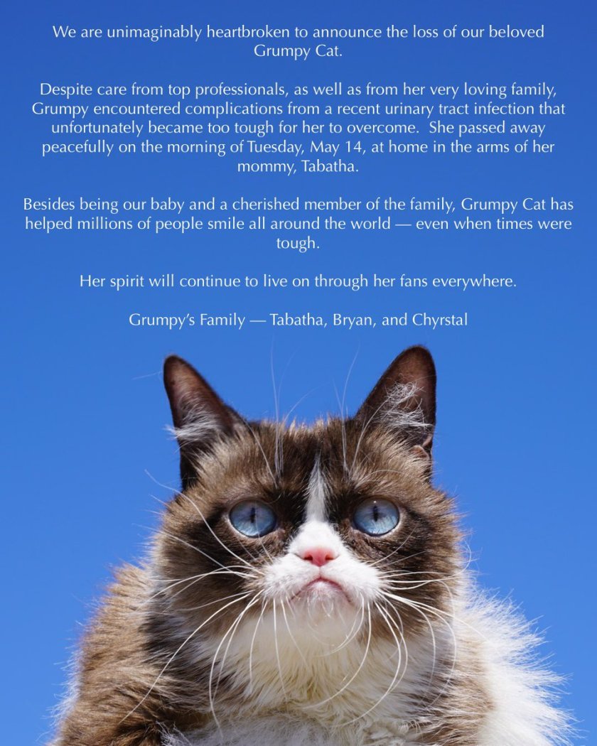 rip grumpy cat.jpg